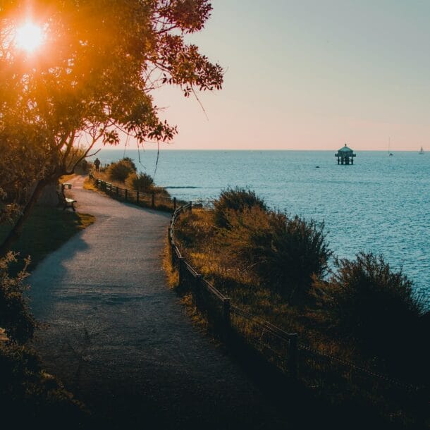 green trees near body of water