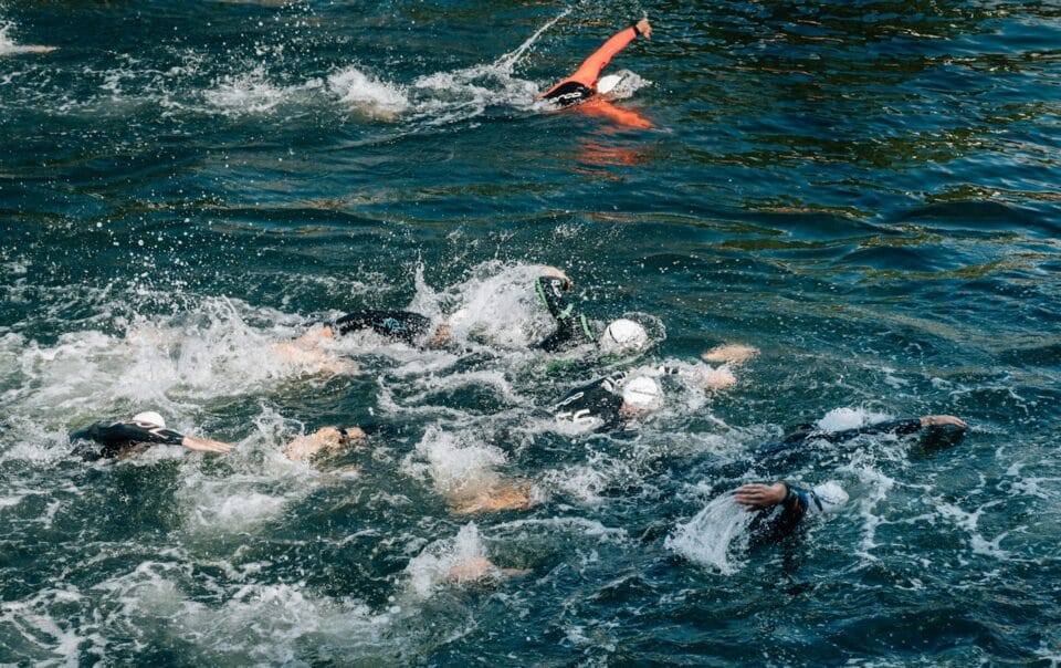 people swimming during day