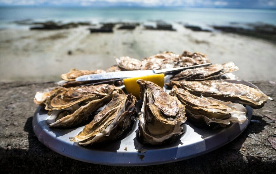 cooked food on round plate