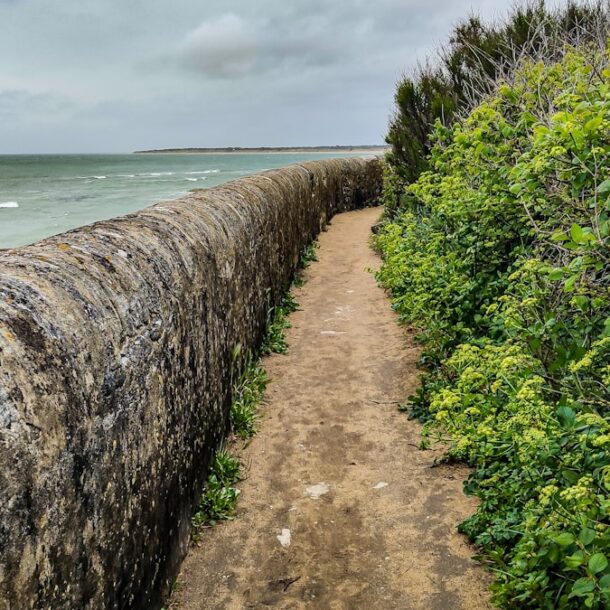 un camino de tierra junto a un cuerpo de agua