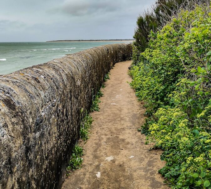 un camino de tierra junto a un cuerpo de agua