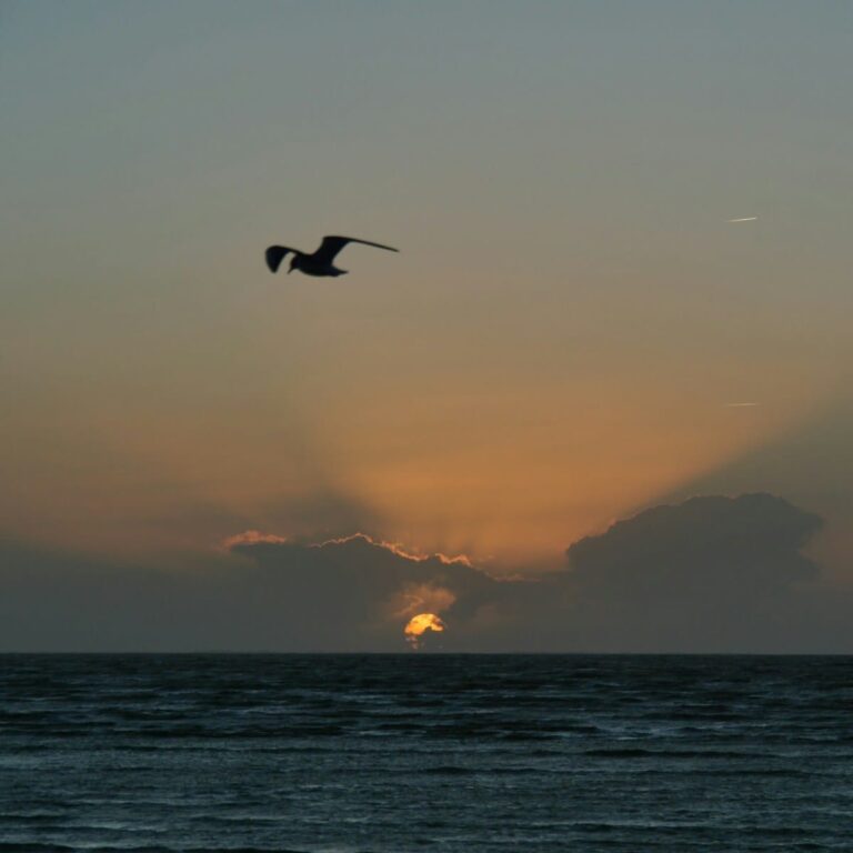 Charente-Maritime — Paseo al atardecer en Châtelaillon-Plage