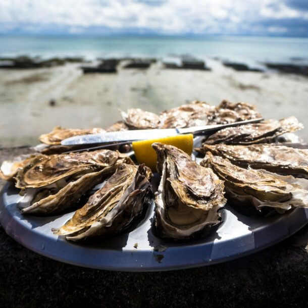Hotel la Rochelle — Qué hacer en Châtelaillon-Plage durante el fin de semana