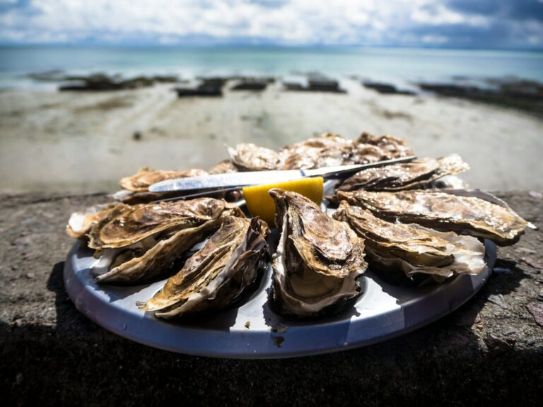 Hotel la Rochelle - What to do in Châtelaillon-Plage at the weekend