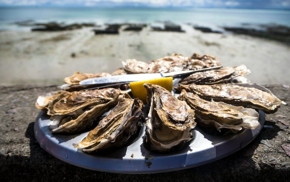 Hotel la Rochelle - What to do in Châtelaillon-Plage at the weekend