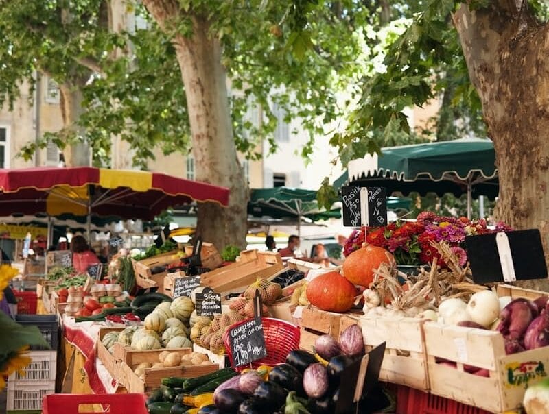 Charente-Maritime - Day trip to La Rochelle from the hotel