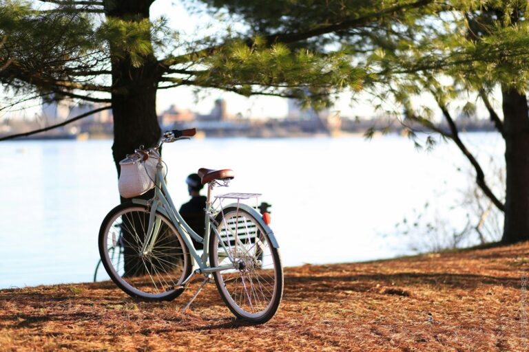 bicicleta junto a árbol